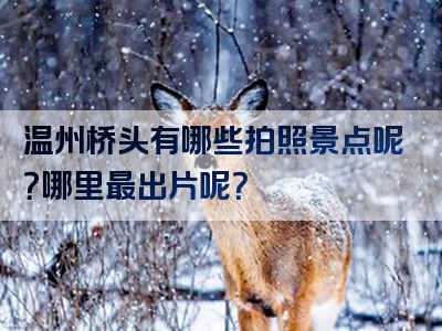 温州桥头有哪些拍照景点呢？哪里最出片呢？
