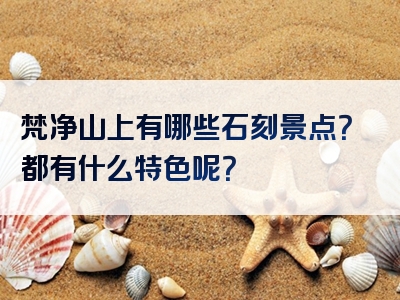 梵净山上有哪些石刻景点？都有什么特色呢？