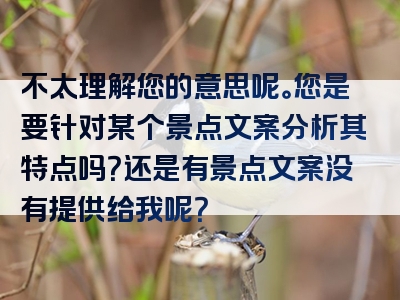 不太理解您的意思呢。您是要针对某个景点文案分析其特点吗？还是有景点文案没有提供给我呢？