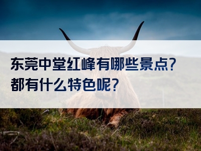 东莞中堂红峰有哪些景点？都有什么特色呢？