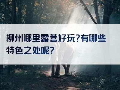 柳州哪里露营好玩？有哪些特色之处呢？