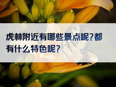 虎林附近有哪些景点呢？都有什么特色呢？