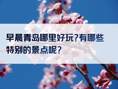 早晨青岛哪里好玩？有哪些特别的景点呢？