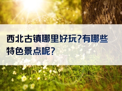 西北古镇哪里好玩？有哪些特色景点呢？