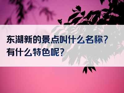 东湖新的景点叫什么名称？有什么特色呢？