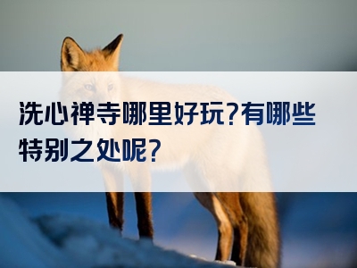 洗心禅寺哪里好玩？有哪些特别之处呢？