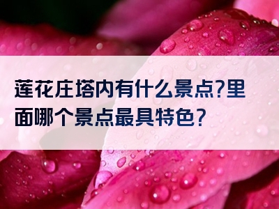 莲花庄塔内有什么景点？里面哪个景点最具特色？