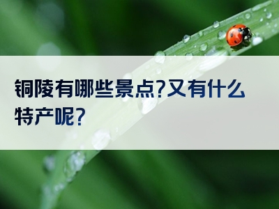 铜陵有哪些景点？又有什么特产呢？