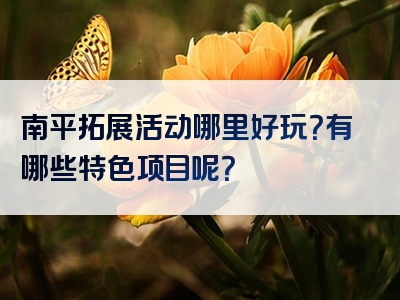 南平拓展活动哪里好玩？有哪些特色项目呢？