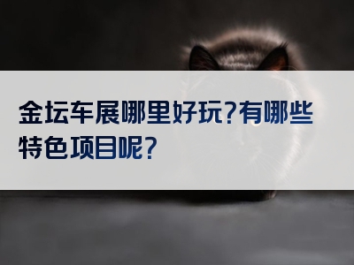 金坛车展哪里好玩？有哪些特色项目呢？
