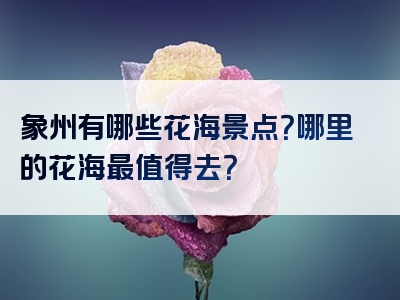象州有哪些花海景点？哪里的花海最值得去？