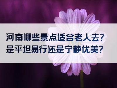 河南哪些景点适合老人去？是平坦易行还是宁静优美？