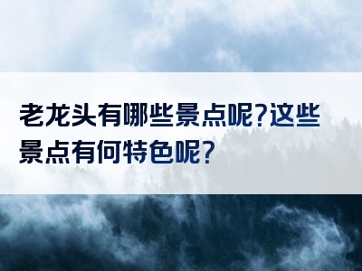 老龙头有哪些景点呢？这些景点有何特色呢？