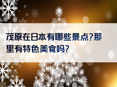 茂原在日本有哪些景点？那里有特色美食吗？