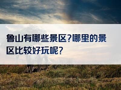 鲁山有哪些景区？哪里的景区比较好玩呢？