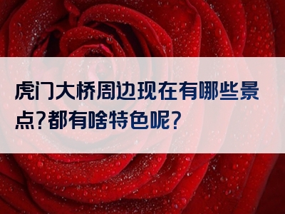虎门大桥周边现在有哪些景点？都有啥特色呢？