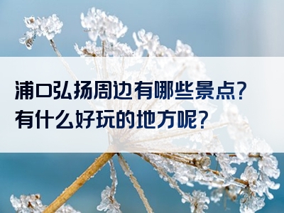 浦口弘扬周边有哪些景点？有什么好玩的地方呢？