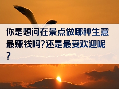 你是想问在景点做哪种生意最赚钱吗？还是最受欢迎呢？