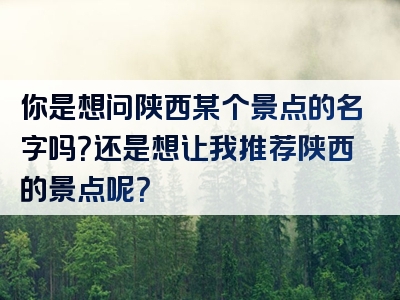 你是想问陕西某个景点的名字吗?还是想让我推荐陕西的景点呢?