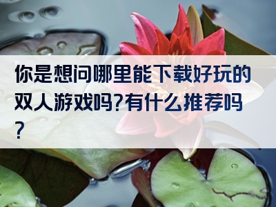 你是想问哪里能下载好玩的双人游戏吗？有什么推荐吗？