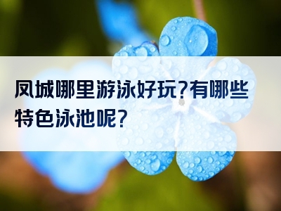 凤城哪里游泳好玩？有哪些特色泳池呢？