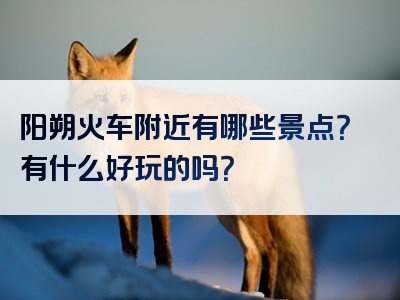 阳朔火车附近有哪些景点？有什么好玩的吗？