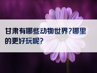 甘肃有哪些动物世界？哪里的更好玩呢？