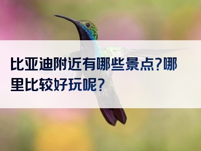 比亚迪附近有哪些景点？哪里比较好玩呢？