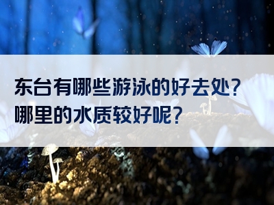 东台有哪些游泳的好去处？哪里的水质较好呢？