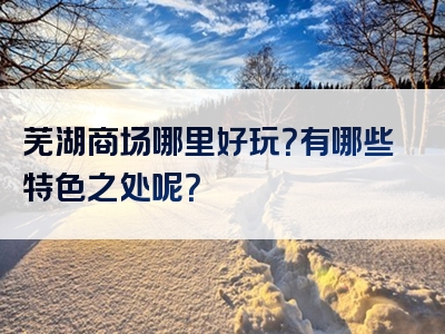 芜湖商场哪里好玩？有哪些特色之处呢？