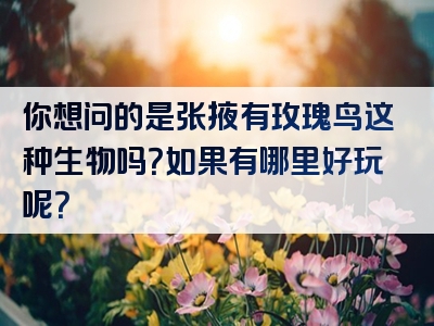 你想问的是张掖有玫瑰鸟这种生物吗？如果有哪里好玩呢？