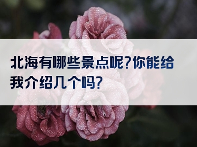 北海有哪些景点呢？你能给我介绍几个吗？