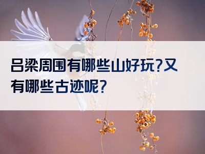 吕梁周围有哪些山好玩？又有哪些古迹呢？