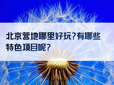 北京营地哪里好玩？有哪些特色项目呢？