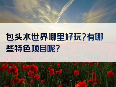 包头水世界哪里好玩？有哪些特色项目呢？
