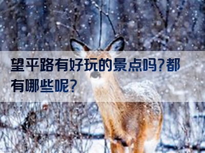 望平路有好玩的景点吗？都有哪些呢？