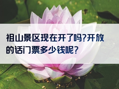 祖山景区现在开了吗？开放的话门票多少钱呢？