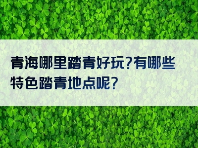 青海哪里踏青好玩？有哪些特色踏青地点呢？