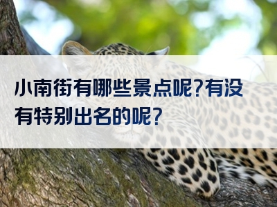 小南街有哪些景点呢？有没有特别出名的呢？