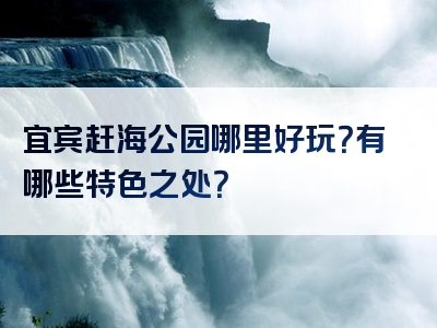 宜宾赶海公园哪里好玩？有哪些特色之处？