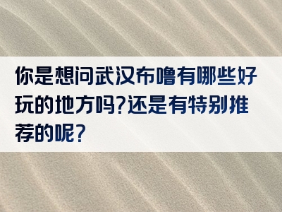 你是想问武汉布噜有哪些好玩的地方吗？还是有特别推荐的呢？