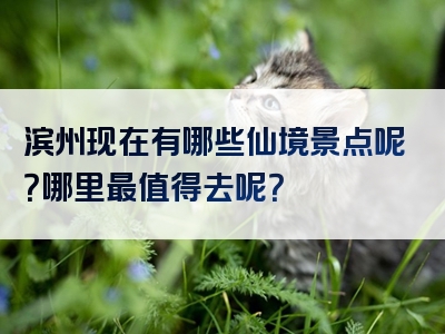 滨州现在有哪些仙境景点呢？哪里最值得去呢？