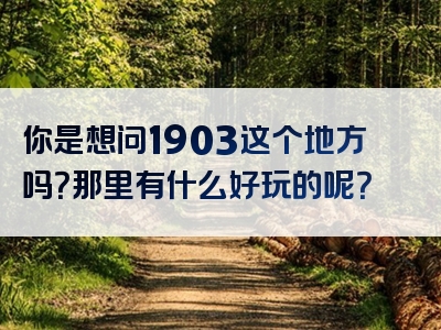 你是想问1903这个地方吗？那里有什么好玩的呢？