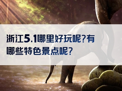 浙江5.1哪里好玩呢？有哪些特色景点呢？