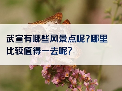 武宣有哪些风景点呢？哪里比较值得一去呢？