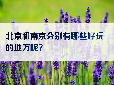 北京和南京分别有哪些好玩的地方呢？