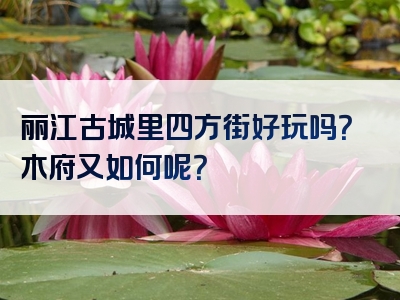 丽江古城里四方街好玩吗？木府又如何呢？