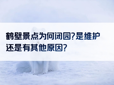 鹤壁景点为何闭园？是维护还是有其他原因？