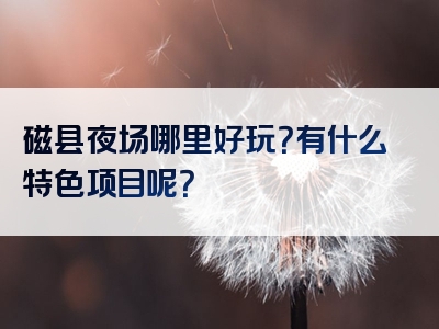 磁县夜场哪里好玩？有什么特色项目呢？