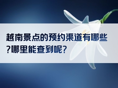 越南景点的预约渠道有哪些？哪里能查到呢？